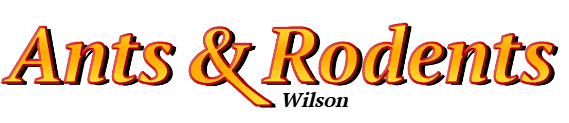 Wilson Ant Exterminator & Rodent Control Company Logo